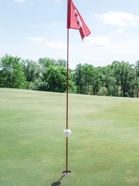 Golf green with flag on the Stegersbach golf swing course near Allegria Resort in Burgenland.
