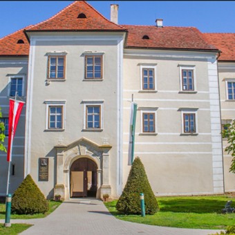 Das Schloss Burgau mit einer grünen Wiese und Bäumen im Vordergrund.