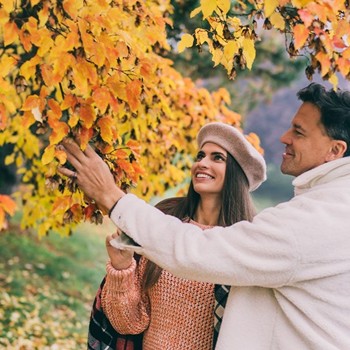 Smiling couple on a walk beneath a tree in autumn colours.